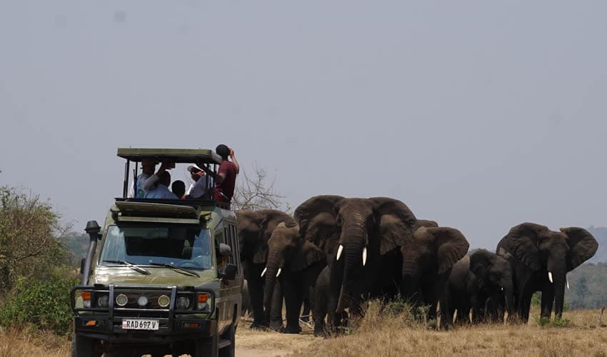 Akagera National Park